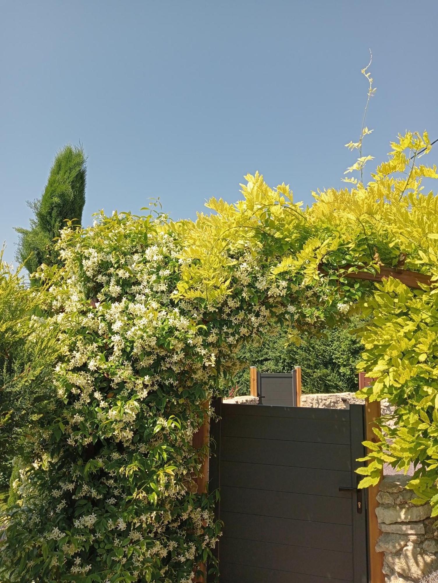 Auvergnat'Home Chaptuzat Ruang foto